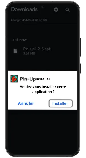 Ouvrir le fichier téléchargé