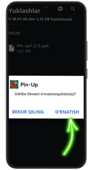 Yuklab olingan faylni oching