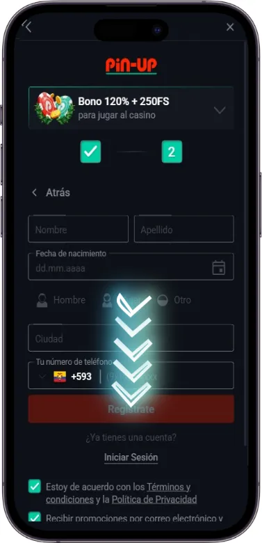 Finalización del Registro de Pin Up