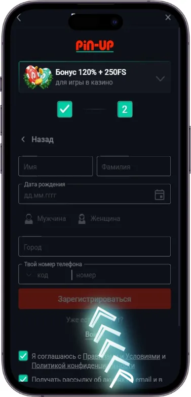 Pin Up завершение регистрации