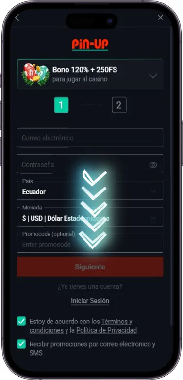 Finalización del Primer Paso de Registro de Pin Up